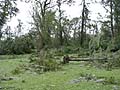 Guy Fanguy - Artist - Photographer - Guy Fanguy - Louisiana - Hurricane - Gustav 2008 (102).jpg Size: 102946 - 5